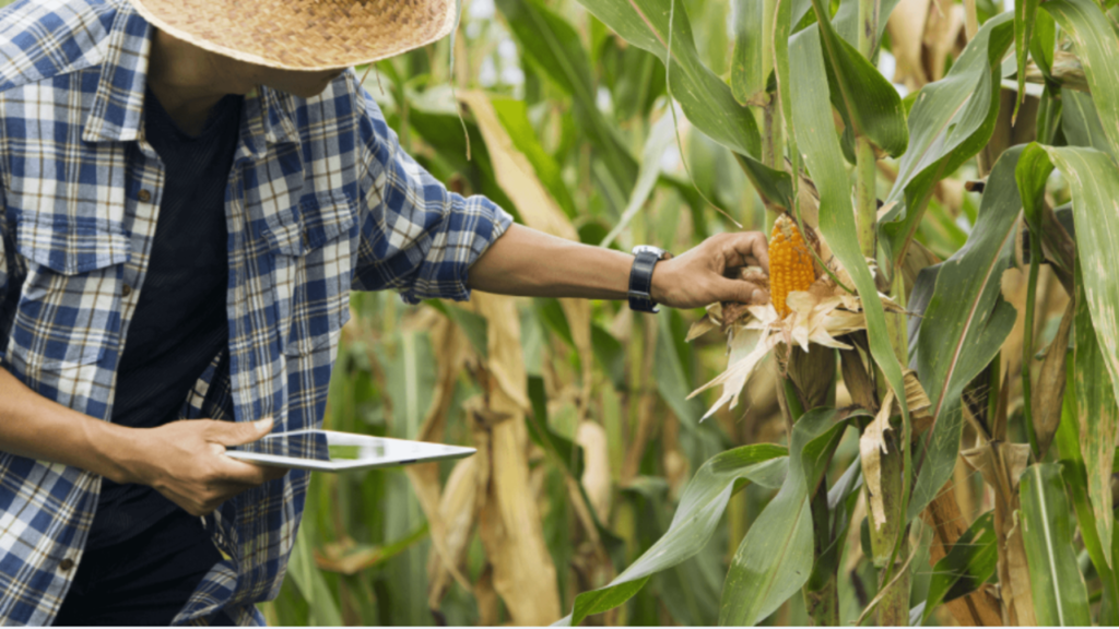 IoT for smart agriculture