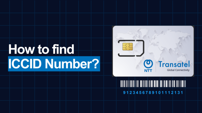 What is iccid number