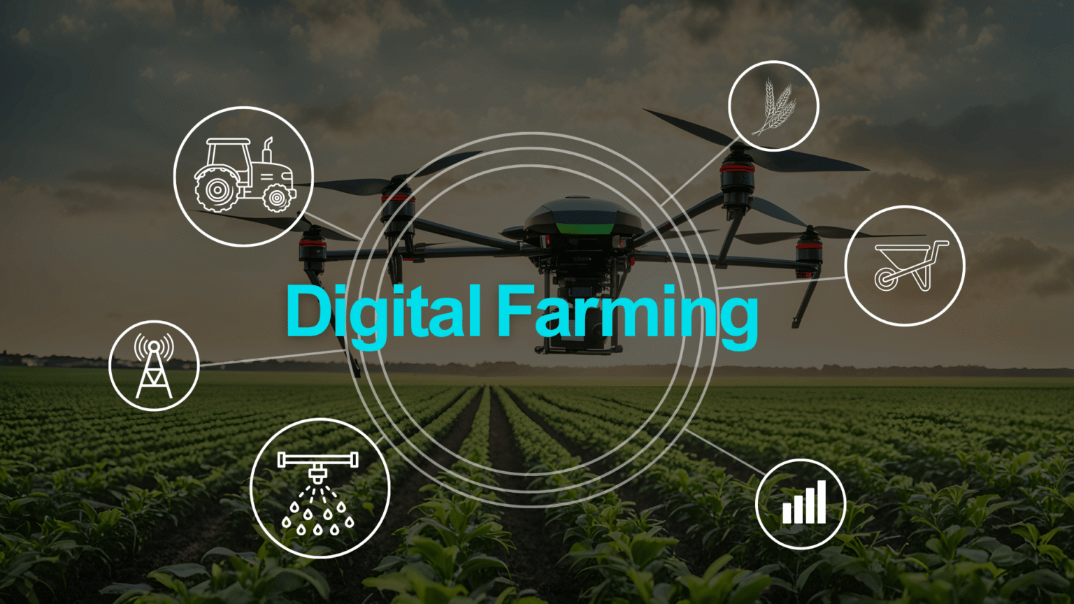 Digital Farming: How connected farms are changing food production